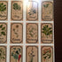 Herb and Spice Apothecary Labels, Vintage Stickers for Jars and Bottles