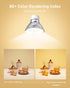 Non-Dimmable GU10 Bulbs, 2700K GU10 Bulb 4W Bulbs 100Flood 3 Pack Lepro LED Light Soft Warm Light Replacement
