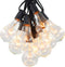 Hometown Evolution, Inc. Vintage Edison Outdoor String Lights (PS50 Clear - Black