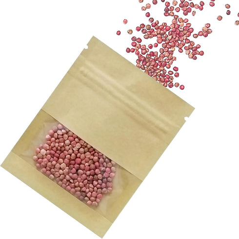 FERENLI 100 Pack Small Resealable Seed Coin Envelopes, 5.1x7.08 inch Brown Kraft Paper with Clear Window