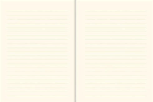 PETER PAUPER PRESS Believe in Yourself Journal with Magnetic Flap Closure