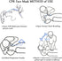 Set 50 (Colorful-50PCS) of CPR Mask, Disposable CPR Shield Mask Emergency Mask Key Chain Ring ,with One-Way Valve