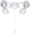 Aspen Creative 22003-21, Four-Light Ceiling Fan Fitter Light Kit with Pull Chain,