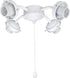 Aspen Creative 22003-21, Four-Light Ceiling Fan Fitter Light Kit with Pull Chain,