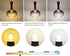 Greeogin Dimmable E26 g16.5 Bulb Bulb 4W 3000K 40W Bulbs 5 Pack led Mini Globe Edison LED Filament Warm White