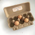 Generic 480 1 2.65 Inch Package Pcs Please Return Egg Carton Stickers x Farm Fresh Eggs Carton Labels Egg Stickers