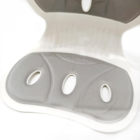 Ergonomic Back and Lumbar Support with Detachable Cover,for Good Posture Correction and Pain Relief,for Offices,Floor