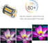 T3 G4 Bi-pin LED Light Bulb 12VAC/DC Low Voltage 3W Warm White 2700K-3000K for Outdoor Landscape Lighting