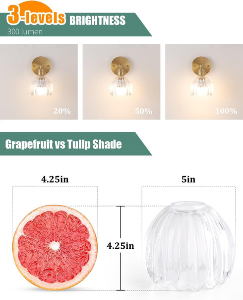 5" 4.25" Chandelier,2 Pack Shenmoyl Tulip Lamp Shades Replacement, Dia. * H Clear Glass Sconce Shade Heavy and Thick