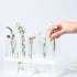 200 Pack Clear Plastic Test Tubes, 12 x 100mm, 12 ml with Caps for Scientific Themed Birthday Party