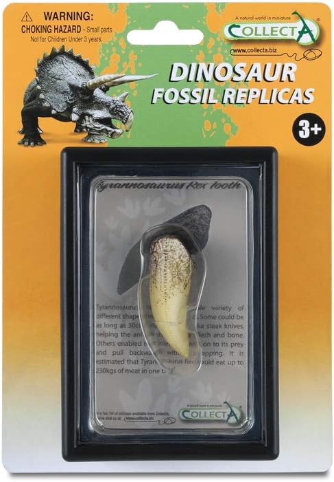 Collecta Prehistoric Life Tooth of Tyrannosaurus Rex in Display Case - Paleontologist Approved