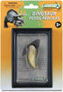Collecta Prehistoric Life Tooth of Tyrannosaurus Rex in Display Case - Paleontologist Approved
