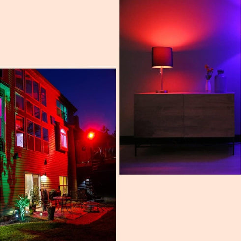 LED Red Light Bulbs 60W Equivalent, A19 E26 Base, 9W Red LED Lights, 2 Pack