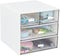 LETURE Desk Organizer with 4 Drawers, Clear Plastic Storage Box for Office Supplies and Stationery