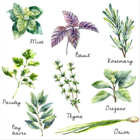 Zaiphany Herb Wall Decals Stickers Peel and Stick,Kitchen Stickers Decals for Cabinet Peel