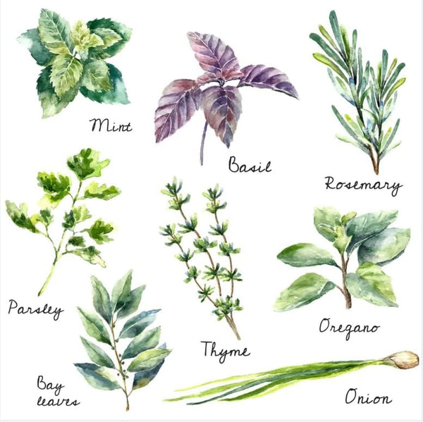 Zaiphany Herb Wall Decals Stickers Peel and Stick,Kitchen Stickers Decals for Cabinet Peel