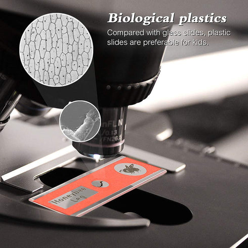 Ninyoon 48pcs Microscope Slides - Prepared Stereo Microscope Slides for Kids, Animals, Insects, Plants, Flowers