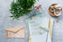 edding 24 EcoLine highlighter - orange - 1 chisel nip 2-5 mm - refillable, recyclable material for marking texts