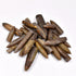 10pcs Paleontology Belemnite Specimen Science Ornament for Laboratory Supply