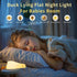 LiuXxdym 3 Dimmable Lying Flat Duck Night Light, Cute Silicone Light Up Duck, Level Nursery Nightlight, LED Duck Lamp