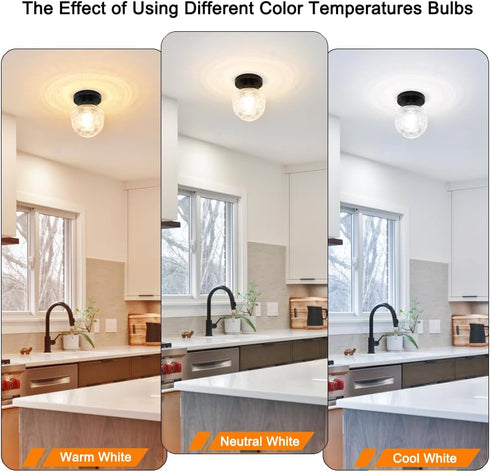 Closet DSMJFU Black Semi Flush Mount Ceiling Light, Small Hallway Light Fixture, Vintage Close to Ceiling Light Fixture
