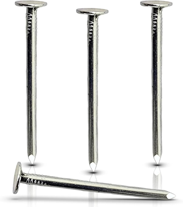 2-Inch Galvanized Roofing Nails Professional Grade, Used to Fasten Roofing Felt, Asphalt Singles (50)