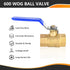 1-Pack 1/2 Inch FIP Threaded Ball Valve, Brass Full Port Shut-off Valve, 600 WOG, Blue
