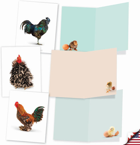 The Best Card Company - 20 Blank Birds Notes with Envelopes - All Occasion Chicken Assortment (10 Designs)