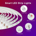 100 50 *2 DAYBETTER ft Smart WiFi Led Lights, Led Strip Lights Work with Alexa and Google Assistant, App Voice Remote