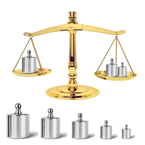 17 Pcs Calibration Weights Set, 10mg-100g Stainless Steel Calibration Weight Kit for Balance Verification