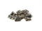 25 Pieces T-Slot Nuts with Screws - MakerBeam 10x10mm Diameter