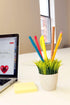 Kikkerland Potted Pen Stand, SC24
