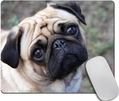 Custom Animal Gaming Mouse Pad, Pug Dog Antique Decor, 9.5 x 7.9 Inch (240mm x 200mm x 3mm)