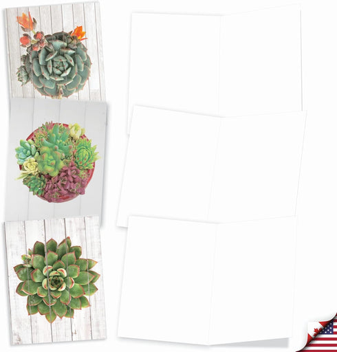 The Best Card Company - 10 Blank Note Cards with Envelopes (4 x 5.12 Inch) - Bulk Boxed All Occasion Cards