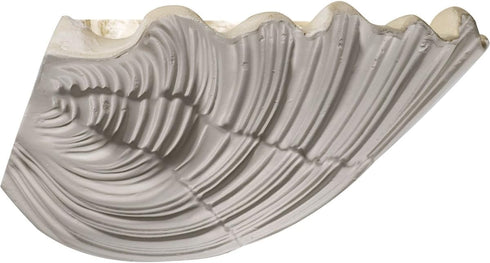 SCO11X07X06SH 11 3/8"W 7 1/8"D 6 5/8"H Ekena Millwork Shell Wall Sconces, x x