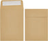 Juvale 100 Pack Small Seed Saving Envelopes, 4.5x3.25 Self Adhesive Blank Packets for Coins, Stamps, Mini Parts (Brown)