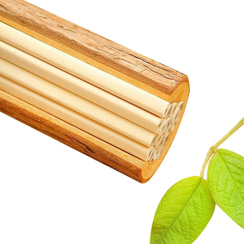 Buspoll 10 Stick HB Pencils, Unpainted Natural Wood Grain, Triangular for Kids Stationery