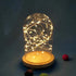 XLWLLNJ Dome Cloche Bell Jar Wooden Base Multifunctional Showcase Display Case Dessert Cover for Dining Tables