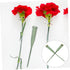 25pcs ARTIBETTER Floral Water Tubes for Flower Arrangement Fresh-Keeping Flower Nutrient for Stems of Carnations Roses