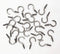 304 Stainless Steel Screw Ceiling Hooks - 7/8 Inch Screw-in Light Hooks for Outdoor and Indoor Use (40 PCS)