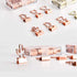 Cactus Binder Clips, Cute Rose Gold Medium Clips in Acrylic Crystal Box for Office, School, Home Supplies
