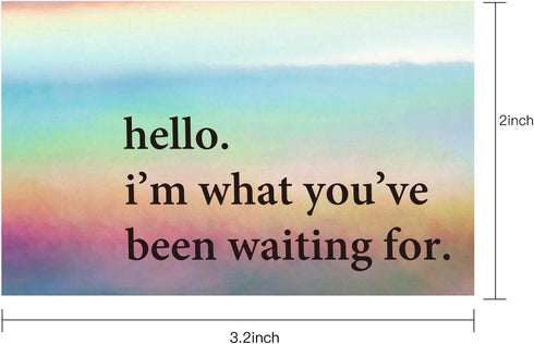 WRAPAHOLIC Hello I'm What You've Been Waiting for Stickers, Black Ink Holographic Silver Labels