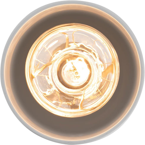 DRRSBRP 250W Commercial 110V 122-140 Hanging Food Heat Lamp, Ceiling Mounted Infrared Food Warmer Light, Retractable