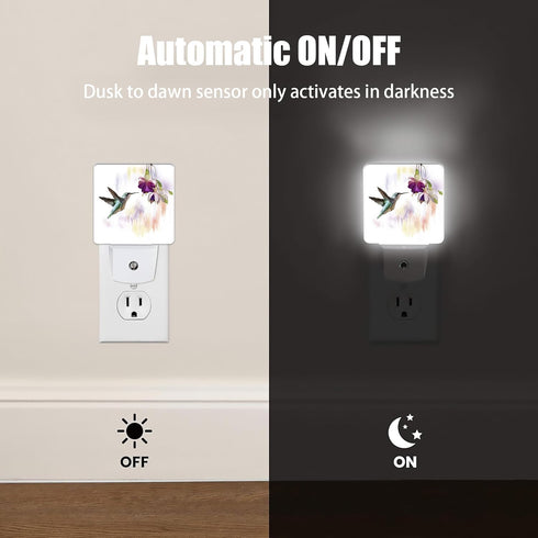 Hummingbird Groovy Flowers Dusk to Dawn Night Light, Auto Sensor Lamp Home Indoor Stairway Kitchen Corridor, Night