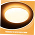 2pcs PRETYZOOM Flush Mount Ceiling Light Covers Mushroom Light Shade Replacement Decorative Lamp Dust Covers for Wall