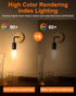 MEQIQTEK E12 60 Bulbs, Bulbs 2500K, 500 Dimmable B10 Bulbs (12 Pack) Watt Incandescent Candle Light Chandelier Light