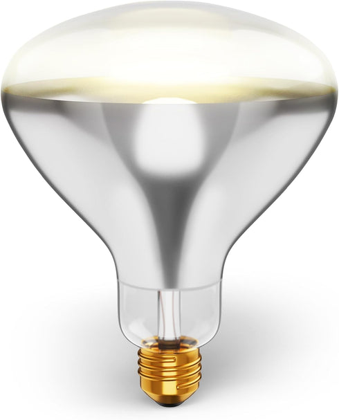 250R40/1 250-Watt, R40 Bulb, E26 120V, 6,000 (Pack 2-Clear-Heat Incandescent Reflector, Clear Head Lamp, Heat Flood