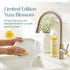 16 oz, 3 Pack) Puracy Natural Dish Soap - Skin-Softening Dishwashing Soap, Non-Toxic Dish Soap, Organic Liquid
