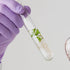 Glass Test Tubes, Pack of 100, Sturdy Round Bottom Clear Test Lab Tubes