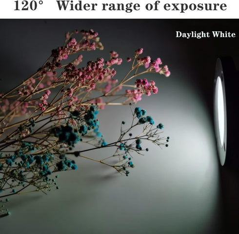 Eseigd 30W IP65 300W 11.5ft 3.5m (30W Clip Floodlight LED Work Light Waterproof Equivalent Cord with Plug Lights